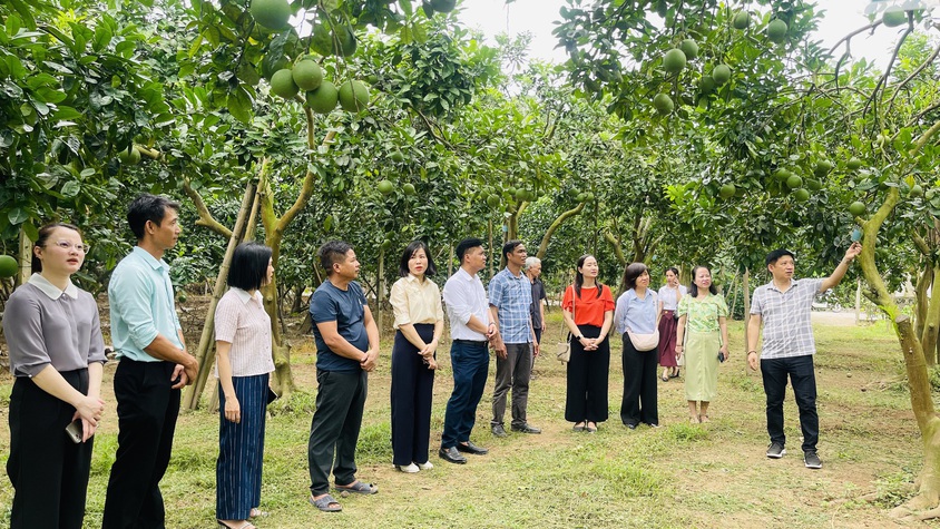 Đoàn công tác Sở Du lịch Hà Nội khảo sát phát triển sản phẩm du lịch nông nghiệp, nông thôn tại xã Phúc Lộc