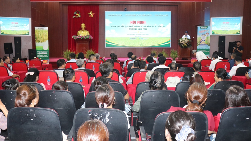 Hội nghị đánh giá kết quả thực hiện các mô hình sản xuất lúa vụ xuân năm 2026