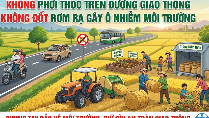 Xử lý rơm rạ đúng cách sau thu hoạch lúa để bảo vệ môi trường, phát triển nông nghiệp bền vững