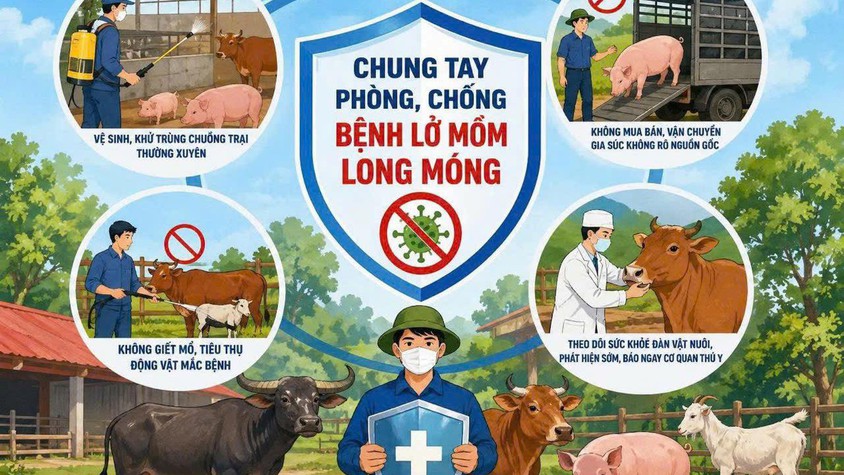 Khuyến cáo phòng chống bệnh lở mồm long móng Serotype SAT-1 trên gia súc