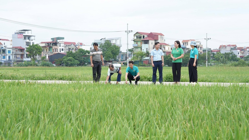Thẩm định thực tế các phương án vay vốn quỹ hỗ trợ nông dân tại xã Thanh Oai