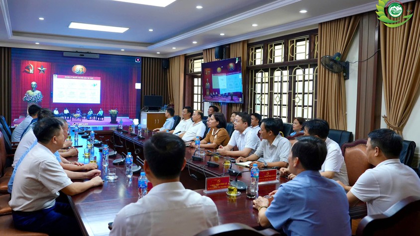 Phú Cát tham gia lớp bồi dưỡng nâng cao năng lực, xử lý tình huống thực tiễn cho đội ngũ cán bộ cơ sở