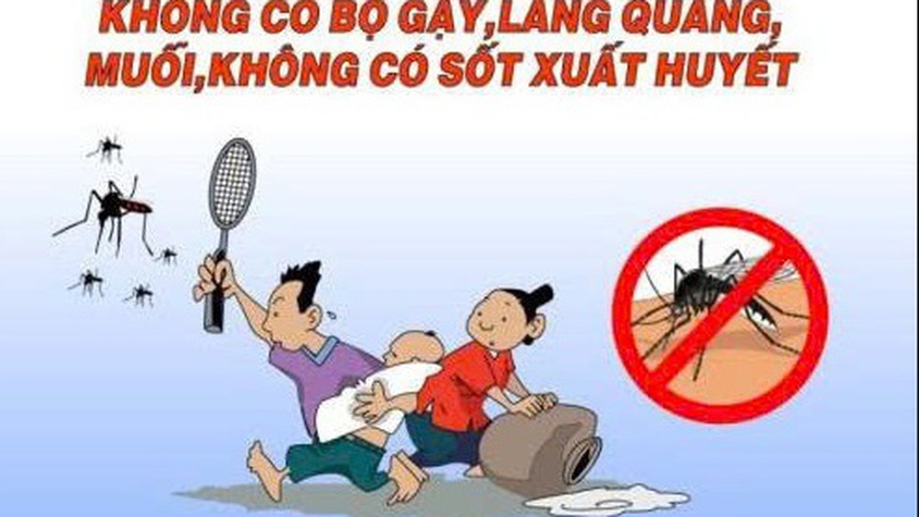 Chủ động diệt bọ gậy, phòng chống sốt xuất huyết