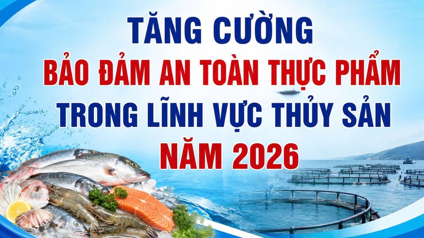 Bài tuyên truyền về tăng cường bảo đảm an toàn thực phẩm trong lĩnh vực thủy sản năm 2026