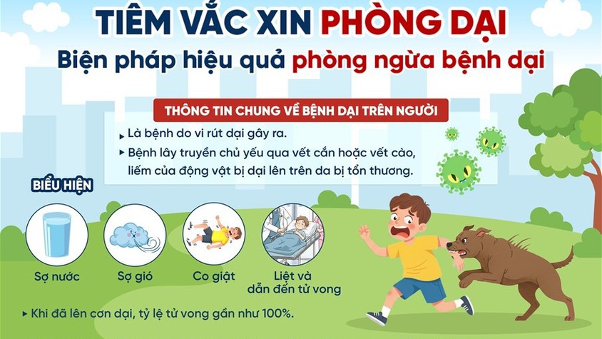 Bài truyền thông:
Những điều cần biết về bệnh dại