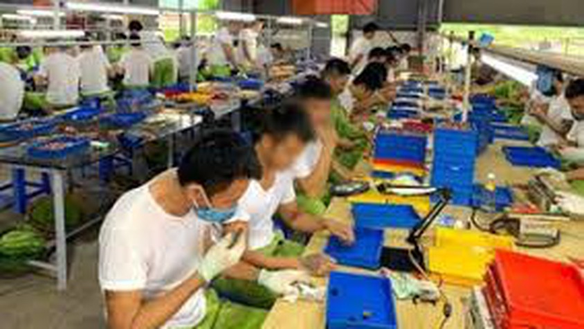 Ngân hàng CSXH Phúc Thọ triển khai Chương trình cho vay mới đối với người sau cai nghiện ma túy