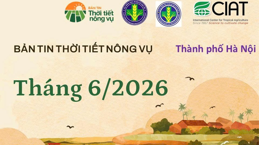 BẢN TIN THỜI TIẾT NÔNG VỤ THÁNG 6 NĂM 2026