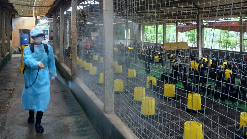 ĐỒNG LOẠT TRIỂN KHAI PHUN THUỐC SÁT TRÙNG, TIÊU ĐỘC MÔI TRƯỜNG TRÊN ĐỊA BÀN XÃ THANH OAI