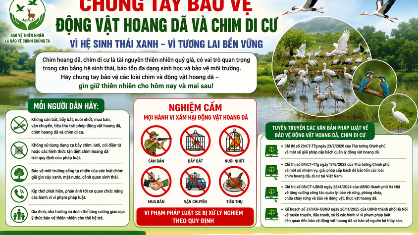 Chung tay bảo vệ các loài chim hoang dã và chim di cư vì một môi trường sinh thái an toàn và thân thiện