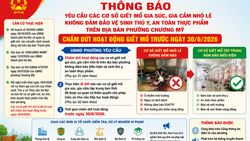 Phường Chương Mỹ yêu cầu các cơ sở giết mổ gia súc, gia cầm nhỏ lẻ không đảm bảo điều kiện chấm dứt hoạt động trước ngày 30/6/2026