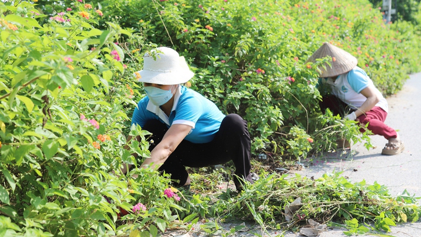 Xã Thượng Phúc đẩy mạnh các hoạt động hưởng ứng Ngày Môi trường Thế giới năm 2026