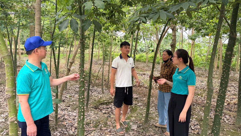 Hội Nông dân xã Gia Lâm tăng cường kiểm tra, giám sát các nguồn vốn vay hỗ trợ hội viên phát triển kinh tế
