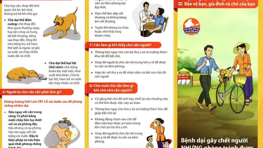 Chủ động phòng, chống bệnh dại – không chủ quan khi bị chó mèo cắn, cào hoặc liếm vào vùng da bị tổn thương