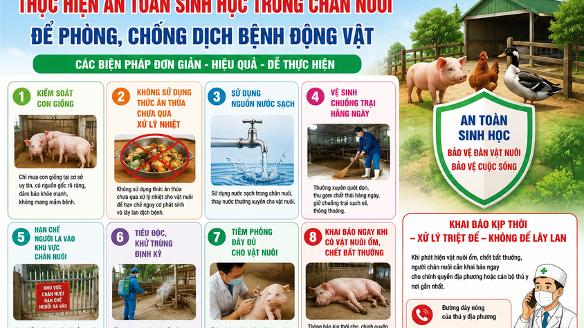 Tăng cường an toàn sinh học trong chăn nuôi – Chủ động phòng, chống dịch bệnh động vật