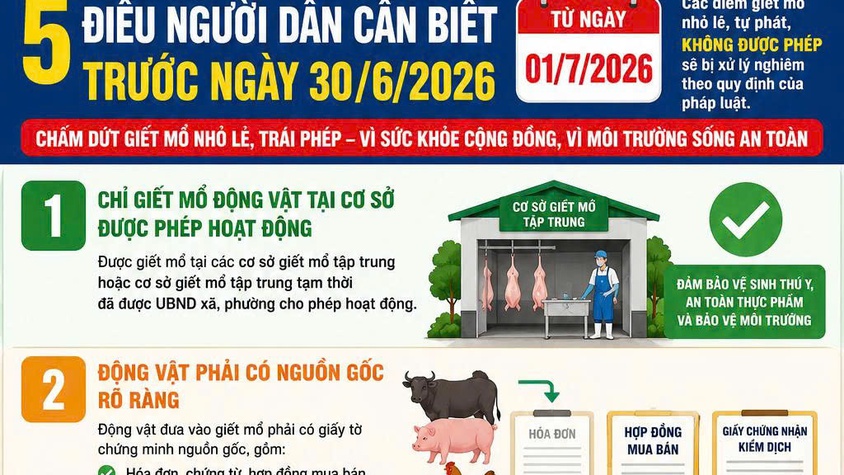 CHẤM DỨT HOẠT ĐỘNG GIẾT MỔ NHỎ LẺ, TRÁI PHÉP TRƯỚC NGÀY 30/6/2026