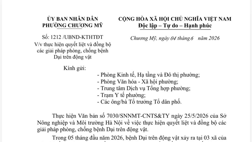 Phường Chương Mỹ tăng cường triển khai các giải pháp phòng, chống bệnh Dại trên động vật