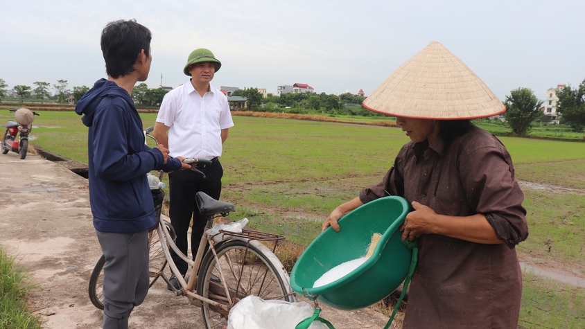Đồng chí Phó Bí thư Thường trực Đảng uỷ xã kiểm tra tình hình sản xuất vụ Mùa năm 2026