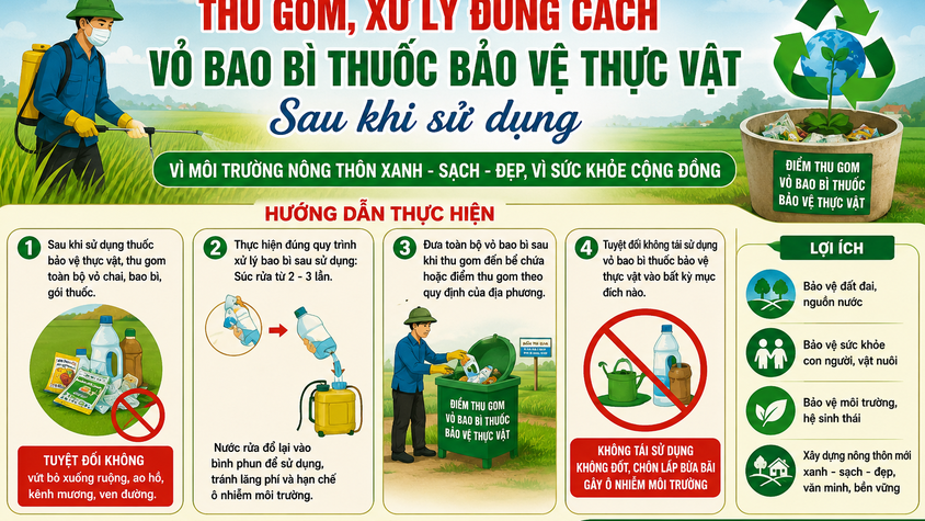 Thu gom đúng cách vỏ bao bì thuốc bảo vệ thực vật – Hành động nhỏ, ý nghĩa lớn