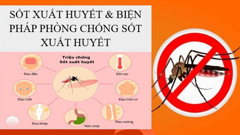 SỐT XUẤT HUYẾT VÀ BIỆN PHÁP PHÒNG CHỐNG SỐT XUẤT HUYẾT