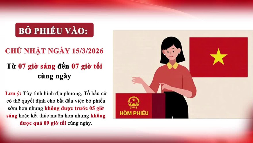 Một số quy định nguyên tắc và trình tự bỏ phiếu