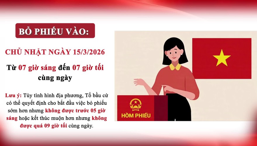 
3. Một số quy định nguyên tắc, trình tự bỏ phiếu bầu cử