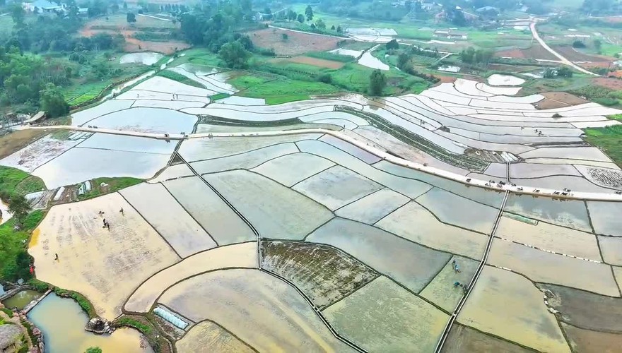 VỤ XUÂN TRÊN QUÊ HƯƠNG BA VÌ