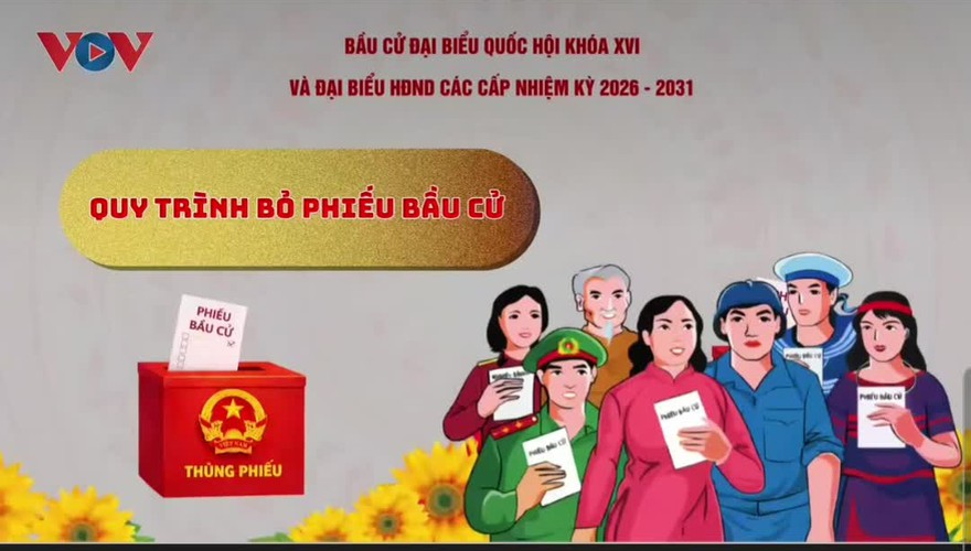 Hướng dẫn cử tri đi bầu