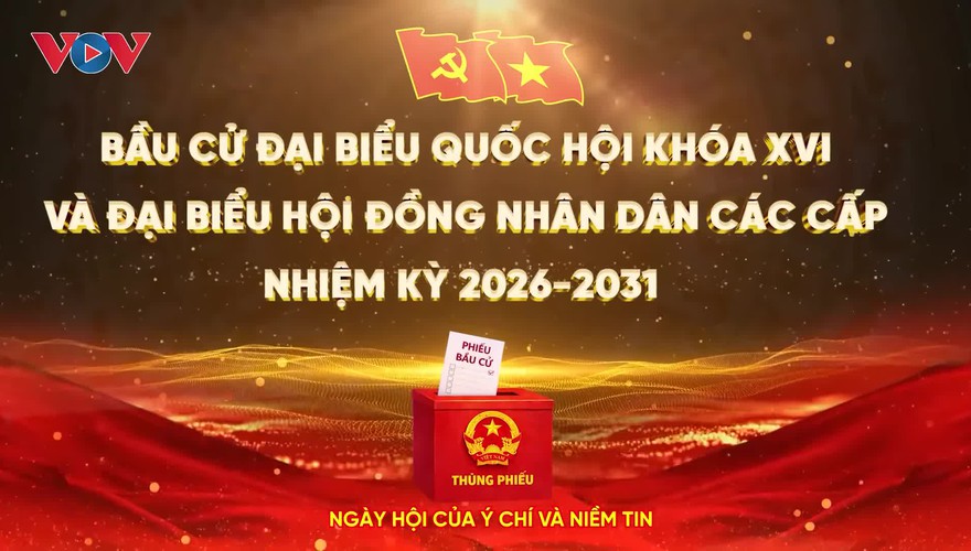 Quy trình bầu cử ĐBQH khóa XVI và đại biểu HĐND các cấp nhiệm kỳ 2026–2031