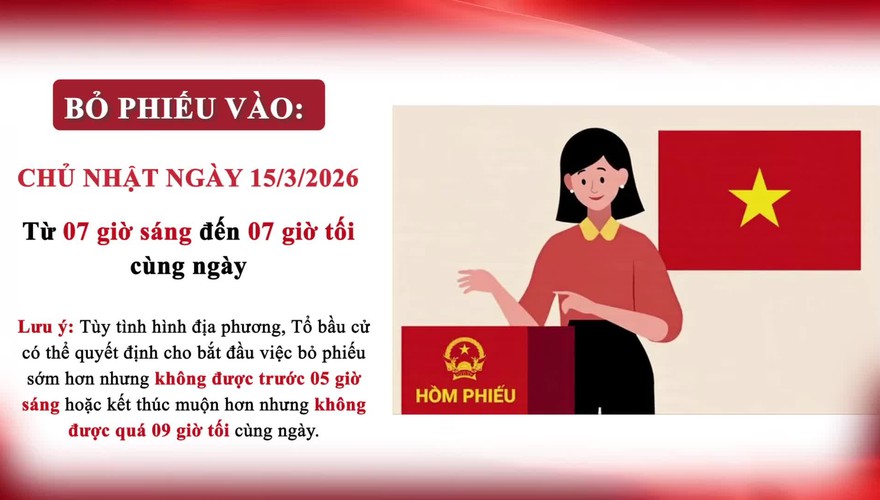 Một số quy định, trình tự bỏ phiếu bầu cử