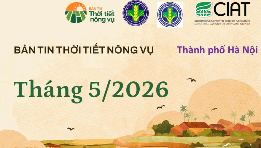 BẢN TIN THỜI TIẾT NÔNG VỤ THÁNG 5/2026